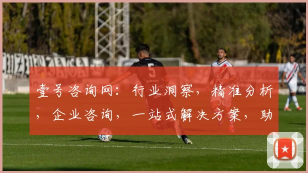 壹号咨询网：行业洞察，精准分析，企业咨询，一站式解决方案，助您商业成功之路