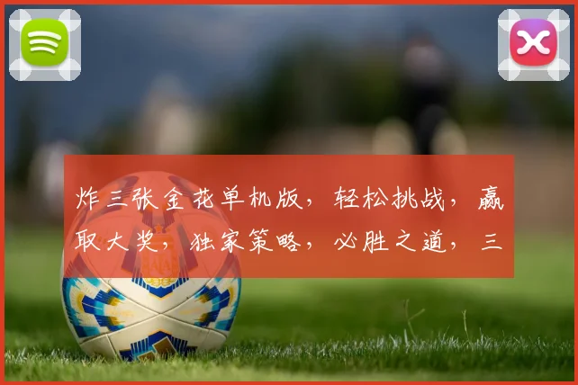 炸三张金花单机版，轻松挑战，赢取大奖，独家策略，必胜之道，三重惊喜，等你来战