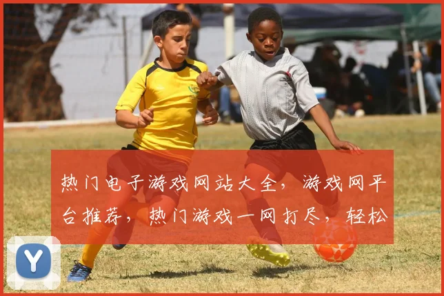 热门电子游戏网站大全，游戏网平台推荐，热门游戏一网打尽，轻松畅游