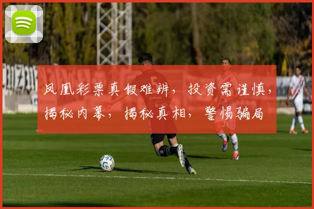 凤凰彩票真假难辨，投资需谨慎，揭秘内幕，揭秘真相，警惕骗局