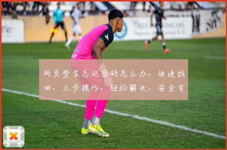 网页登录忘记密码怎么办，快速找回，三步操作，轻松解决，安全可靠，一网打尽