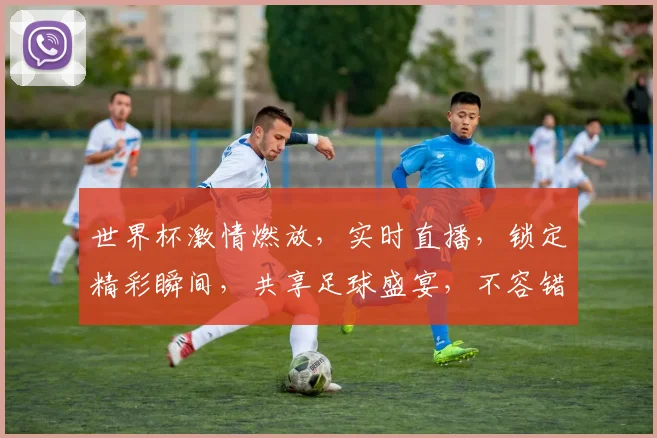 世界杯激情燃放，实时直播，锁定精彩瞬间，共享足球盛宴，不容错过