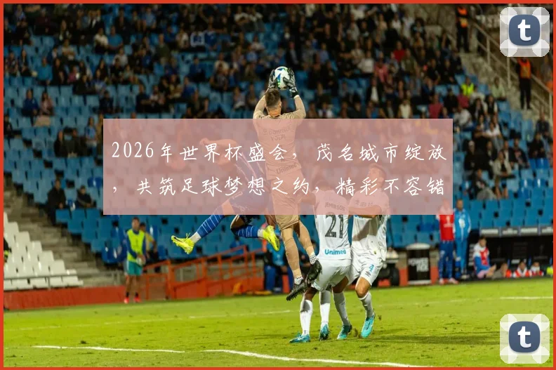 2026年世界杯盛会，茂名城市绽放，共筑足球梦想之约，精彩不容错过
